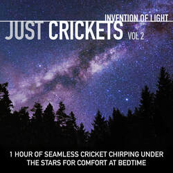 1 Hour of Seamless Cricket Chirping Under the Stars for Comfort at Bedtime