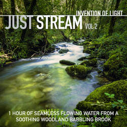 1 Hour of Seamless Flowing Water from a Soothing Woodland Babbling Brook