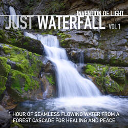 1 Hour of Seamless Flowing Water from a Forest Cascade for Healing and Peace